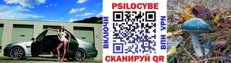kraken маркетплейс  Чехов  Галлюциногенные грибы мицелий  как найти наркотики 